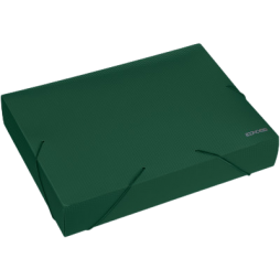 Папка-бокс пластикова А4 на гумках Economix, 40 мм, фактура "діамант", зелена.,Е31402-04